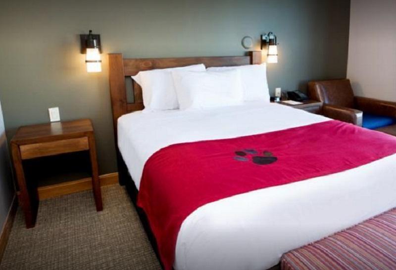 Great Wolf Lodge Bloomington Exteriör bild
